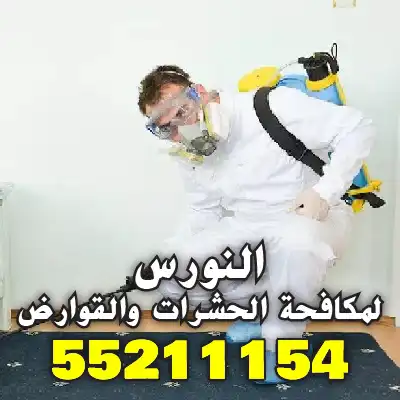 رش مبيدات حشرية