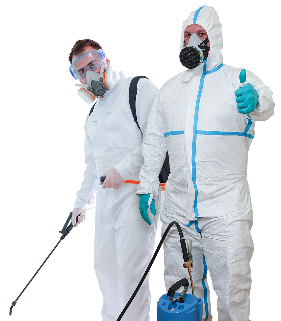 النورس مكافحة حشرات